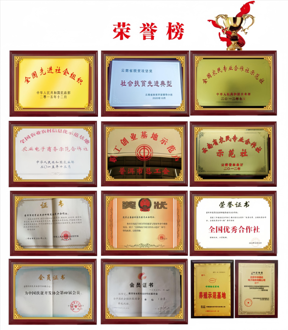 榮譽